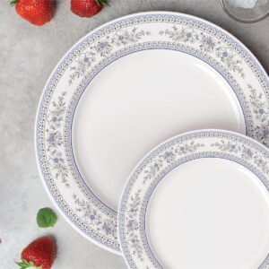 Modesty 80-Piece Dinner Set